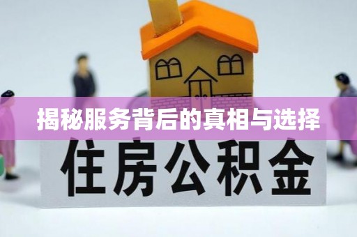 永泰揭秘服务背后的真相与选择