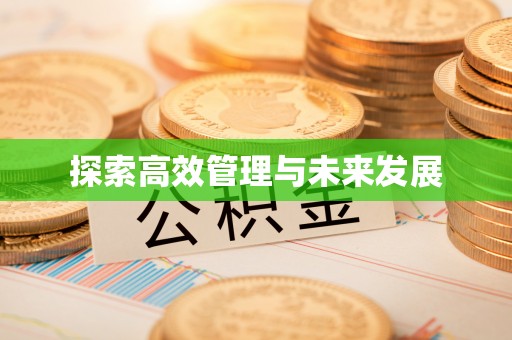 永泰探索高效管理与未来发展