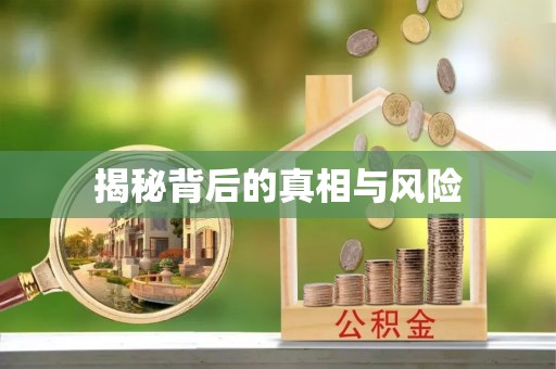 永泰揭秘背后的真相与风险