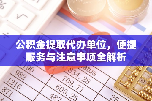 永泰公积金提取代办单位，便捷服务与注意事项全解析