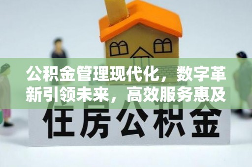 永泰公积金管理现代化，数字革新引领未来，高效服务惠及民生