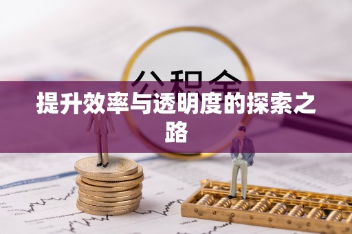 永泰提升效率与透明度的探索之路