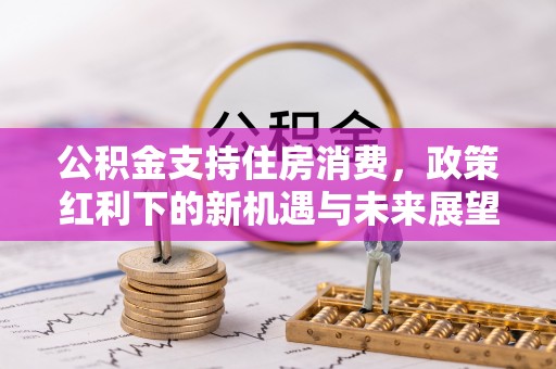 永泰公积金支持住房消费，政策红利下的新机遇与未来展望