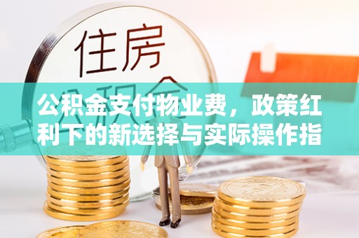 永泰公积金支付物业费，政策红利下的新选择与实际操作指南