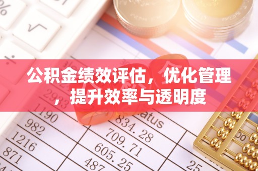 永泰公积金绩效评估，优化管理，提升效率与透明度