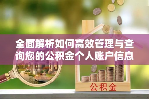 永泰全面解析如何高效管理与查询您的公积金个人账户信息