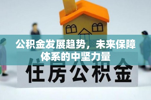 永泰公积金发展趋势，未来保障体系的中坚力量