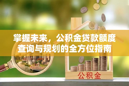 永泰掌握未来，公积金贷款额度查询与规划的全方位指南