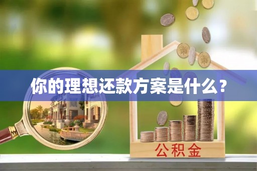 永泰你的理想还款方案是什么？