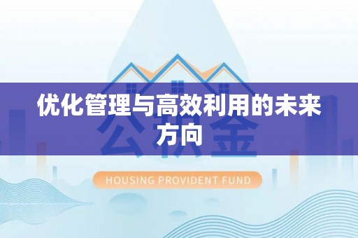 永泰优化管理与高效利用的未来方向