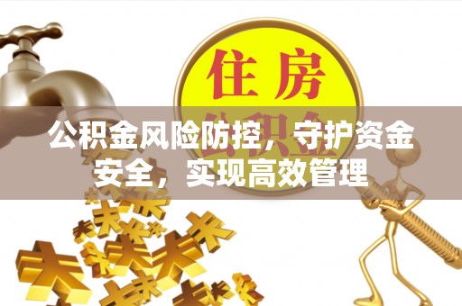 永泰公积金风险防控，守护资金安全，实现高效管理