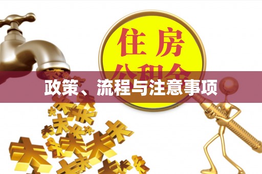 永泰政策、流程与注意事项