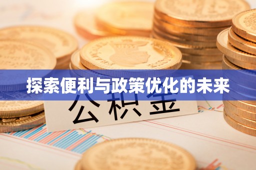 永泰探索便利与政策优化的未来