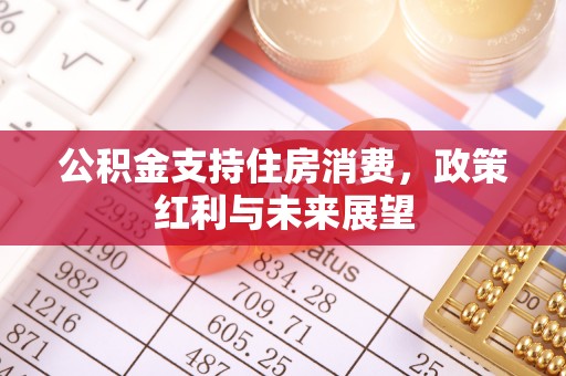 永泰公积金支持住房消费，政策红利与未来展望