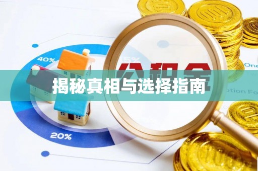 永泰揭秘真相与选择指南