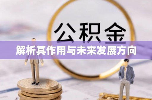 永泰解析其作用与未来发展方向