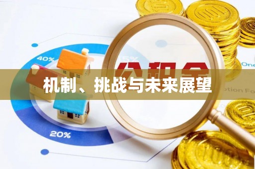 永泰机制、挑战与未来展望