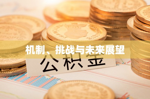 永泰机制、挑战与未来展望