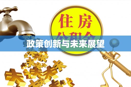 永泰政策创新与未来展望