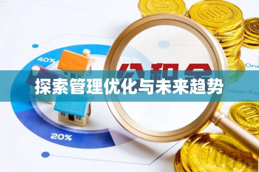 永泰探索管理优化与未来趋势