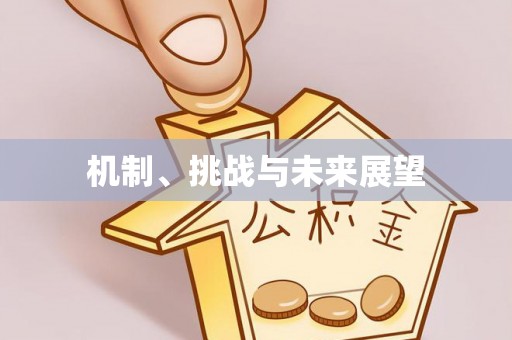 永泰机制、挑战与未来展望